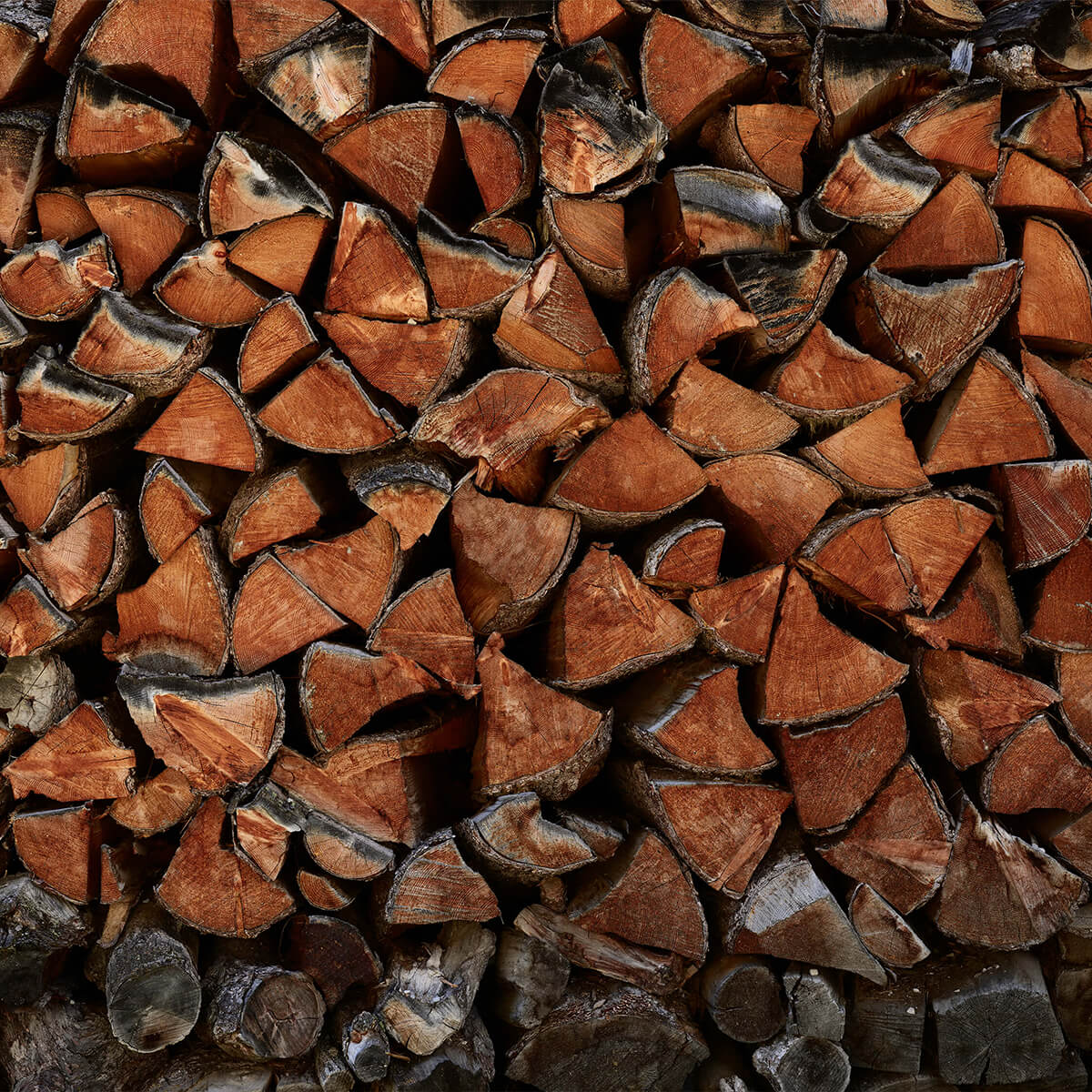 Wood pile