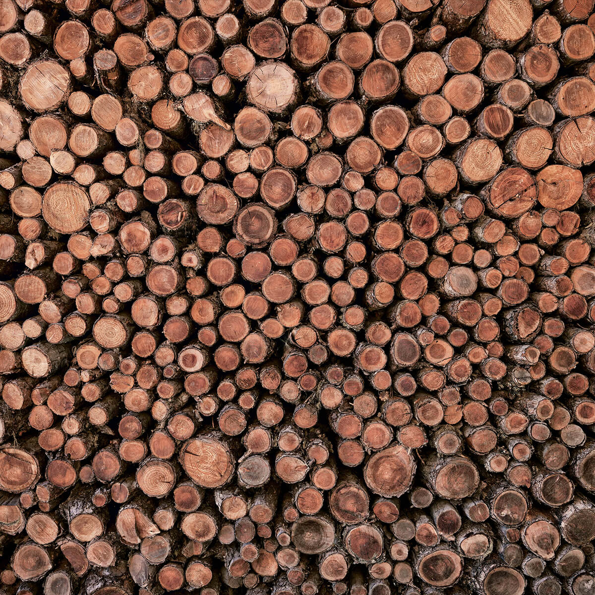 Large pile of logs