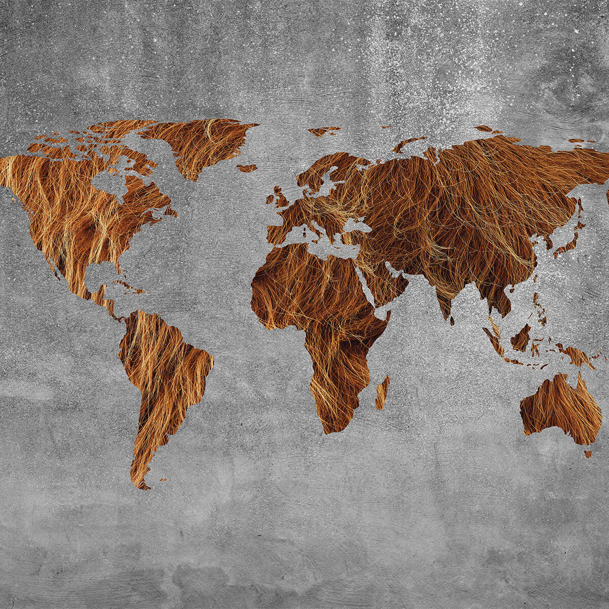 Wereldkaart met vacht structuur