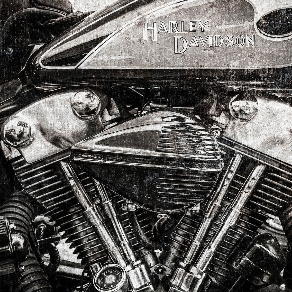 Harley davidson close-up