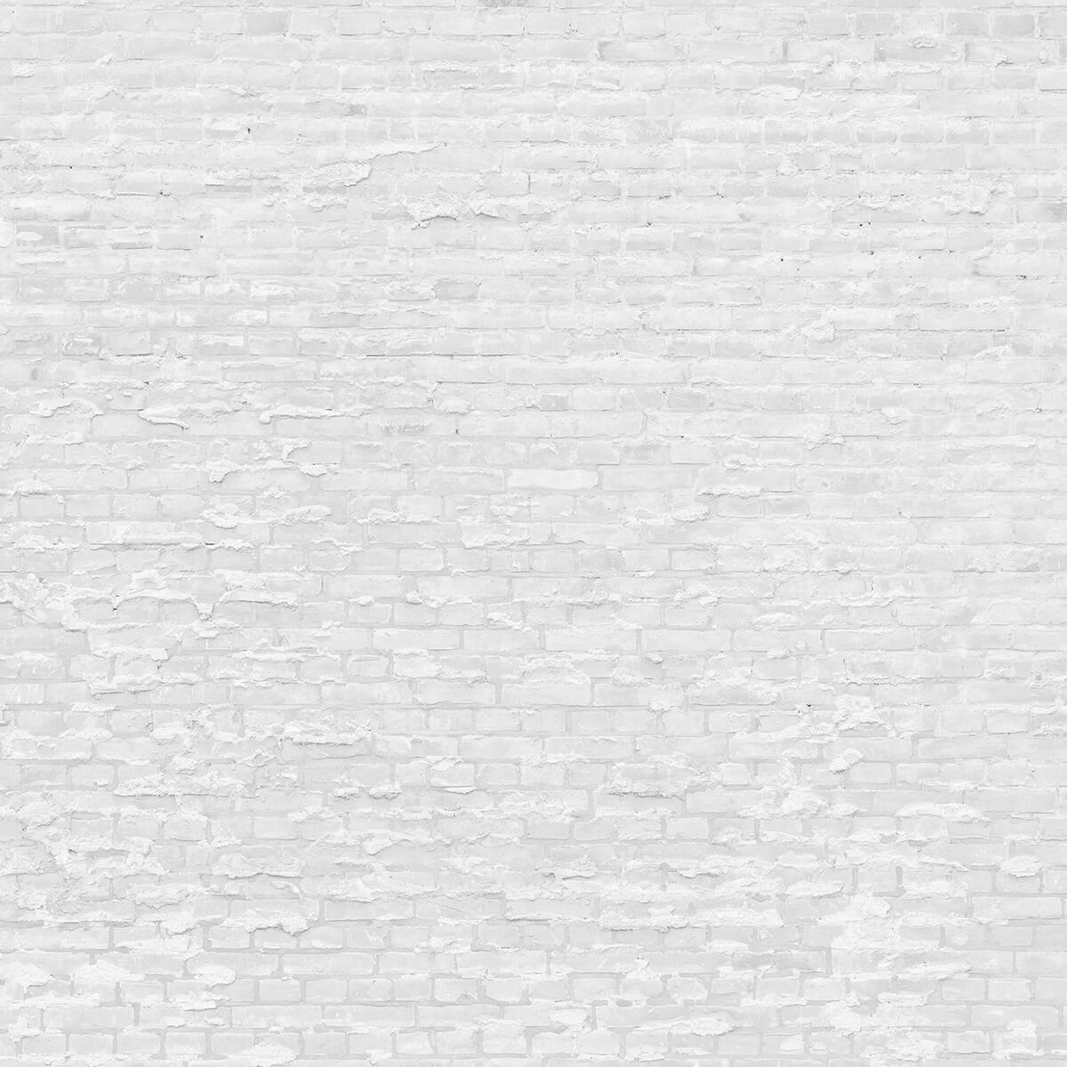 Briques blanches avec du ciment
