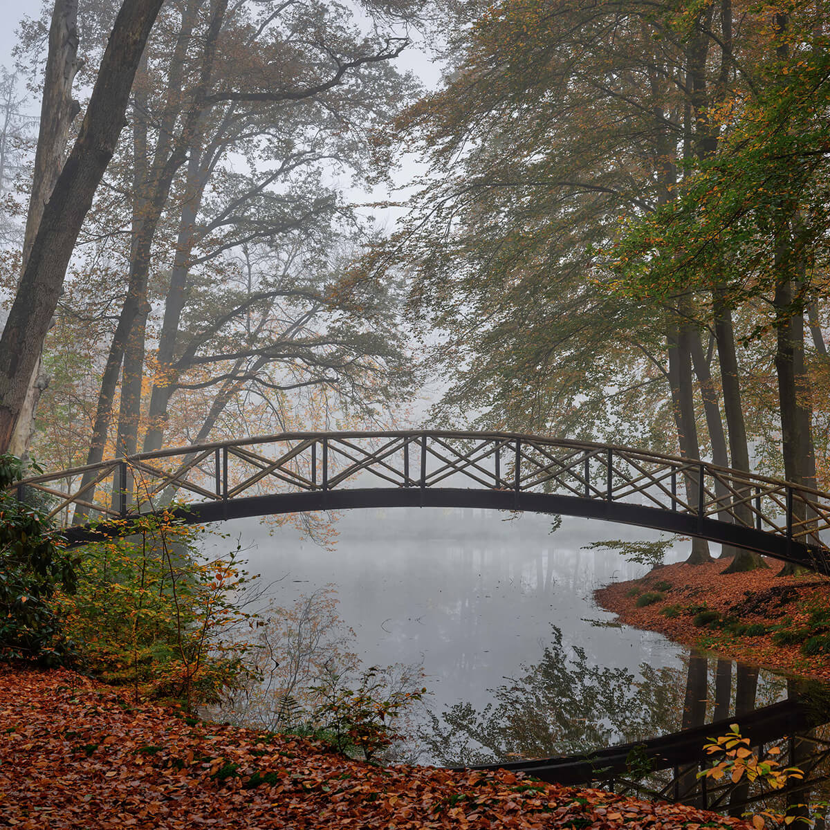 Petit pont entre les arbres