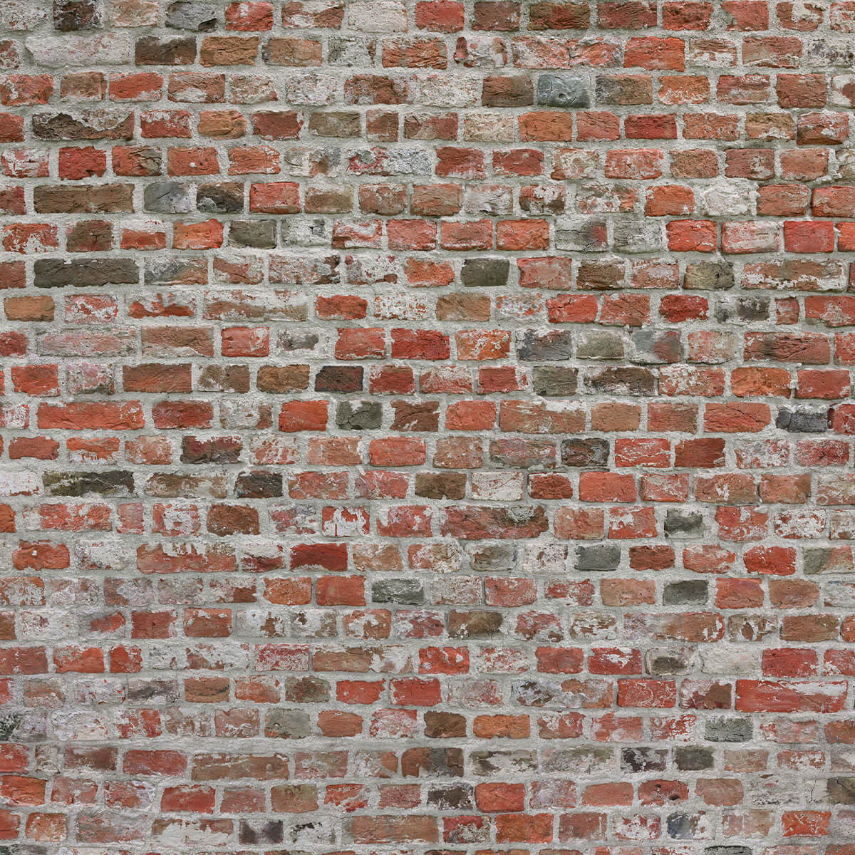 Brick wall restored