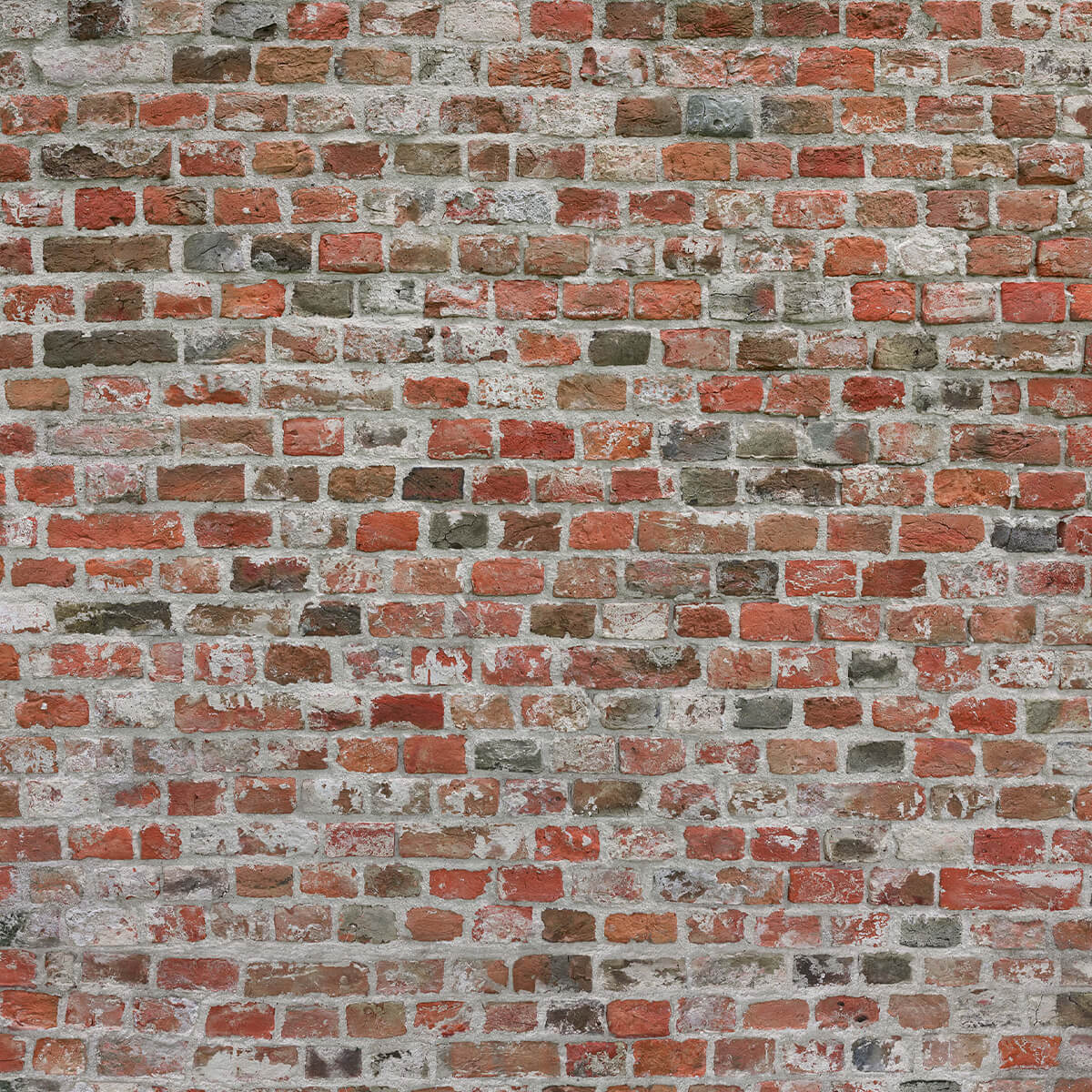 Mur de briques restauré