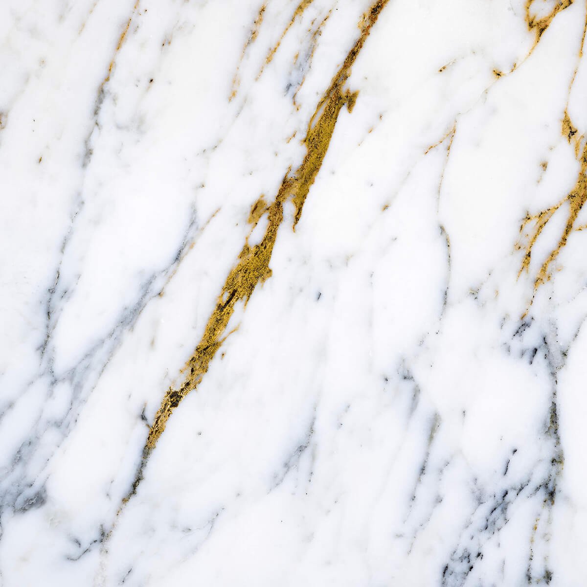 White marble with golden veins