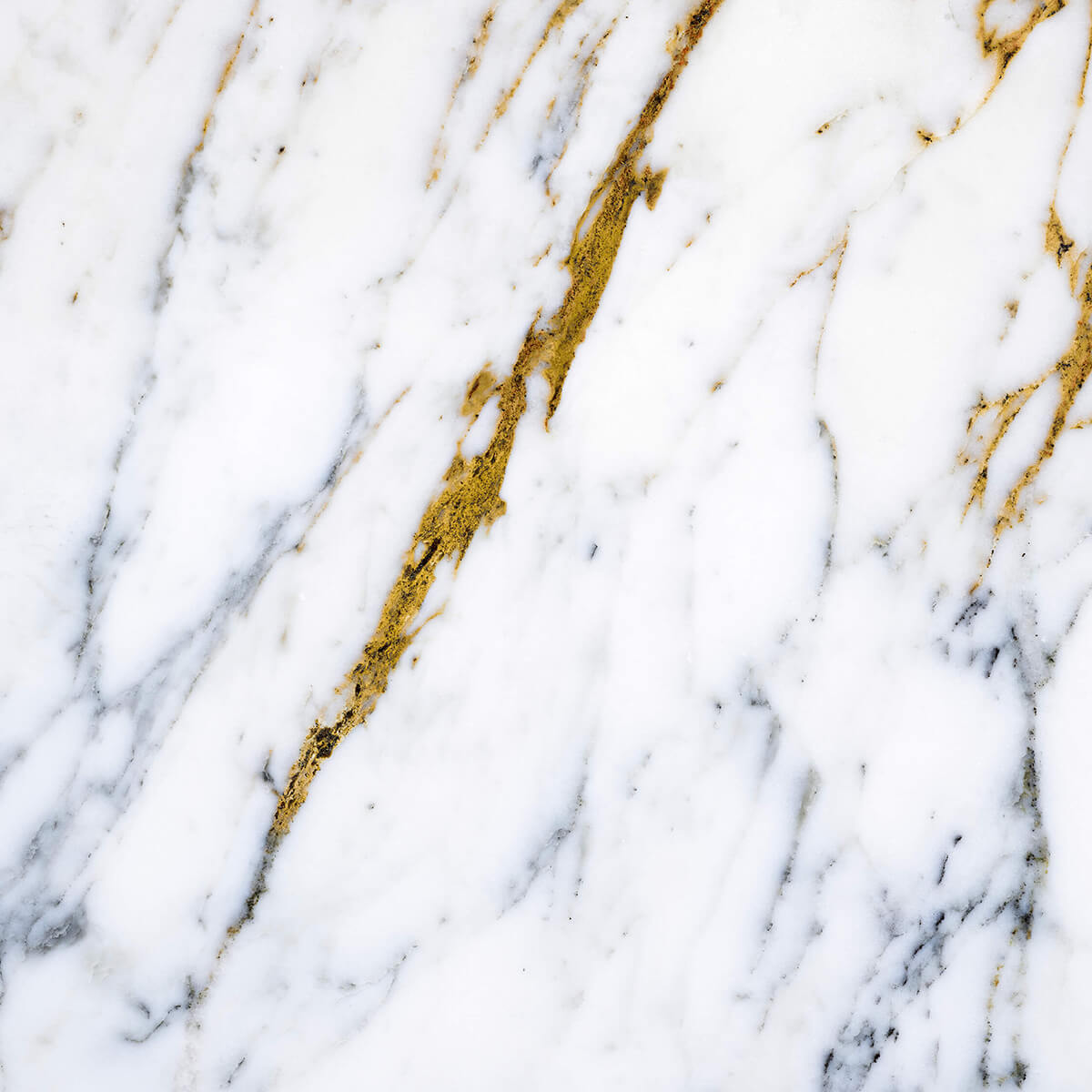 White marble with golden veins