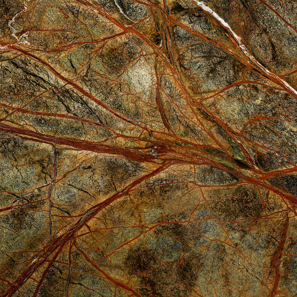 Green marble with coloured veins