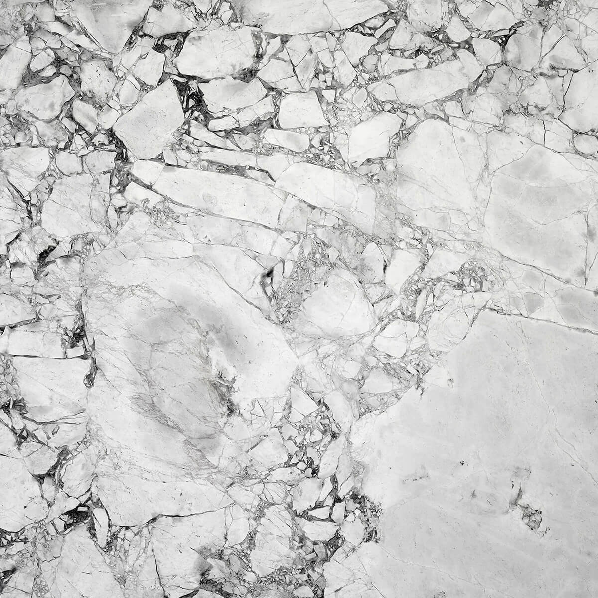 Black and white marble with coarse structure
