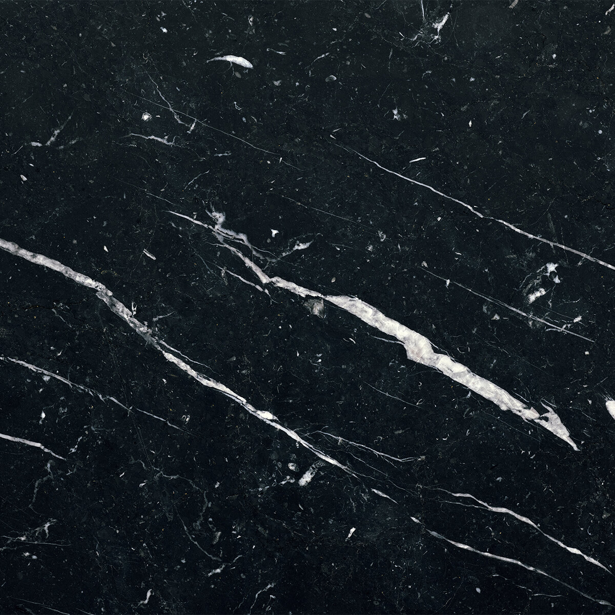 Dark marble with white veins