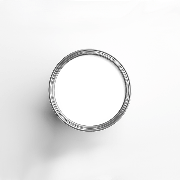 Paint