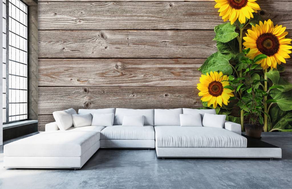 Photo wallpaper with sunflowers Photo wallpaper with sunflowers