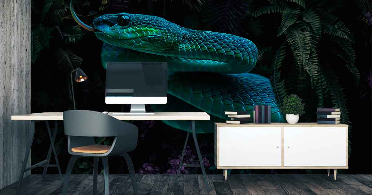 Snakes Wallpaper - Attractive Prices - Photo Wallpaper